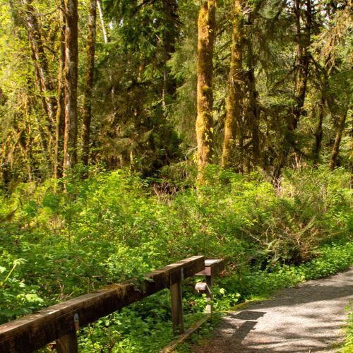 Maple Glade Nature Trail