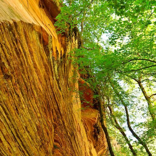 Hidden Canyon