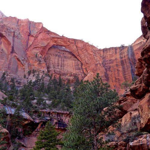 Kolob Arch