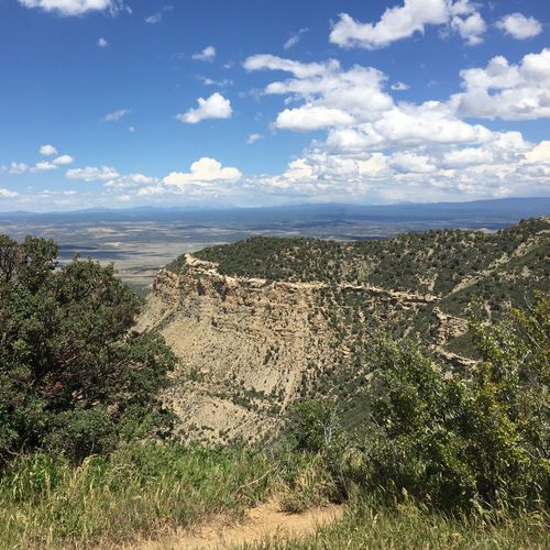 Viewpoint