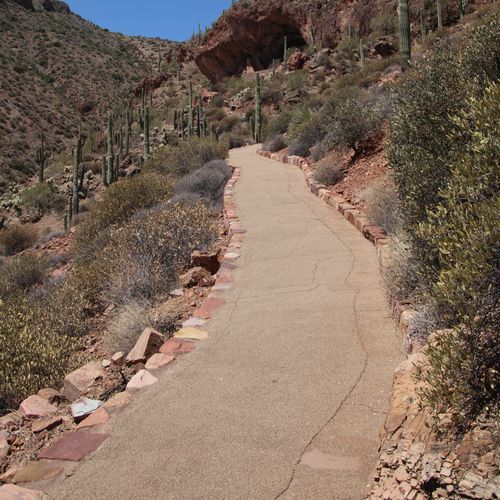 Serviceberry Trail
