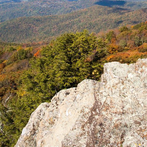 Lewis Mountain