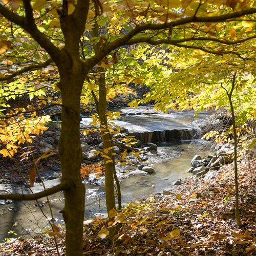 Buckeye Trail (Akron)