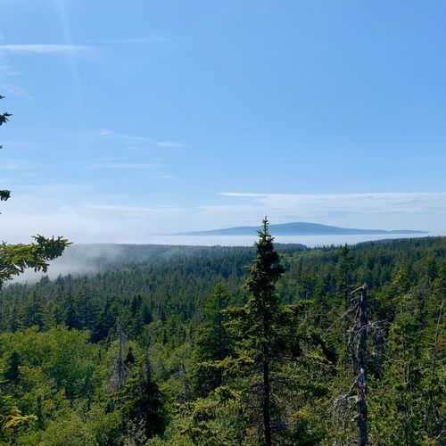 Viewpoint
