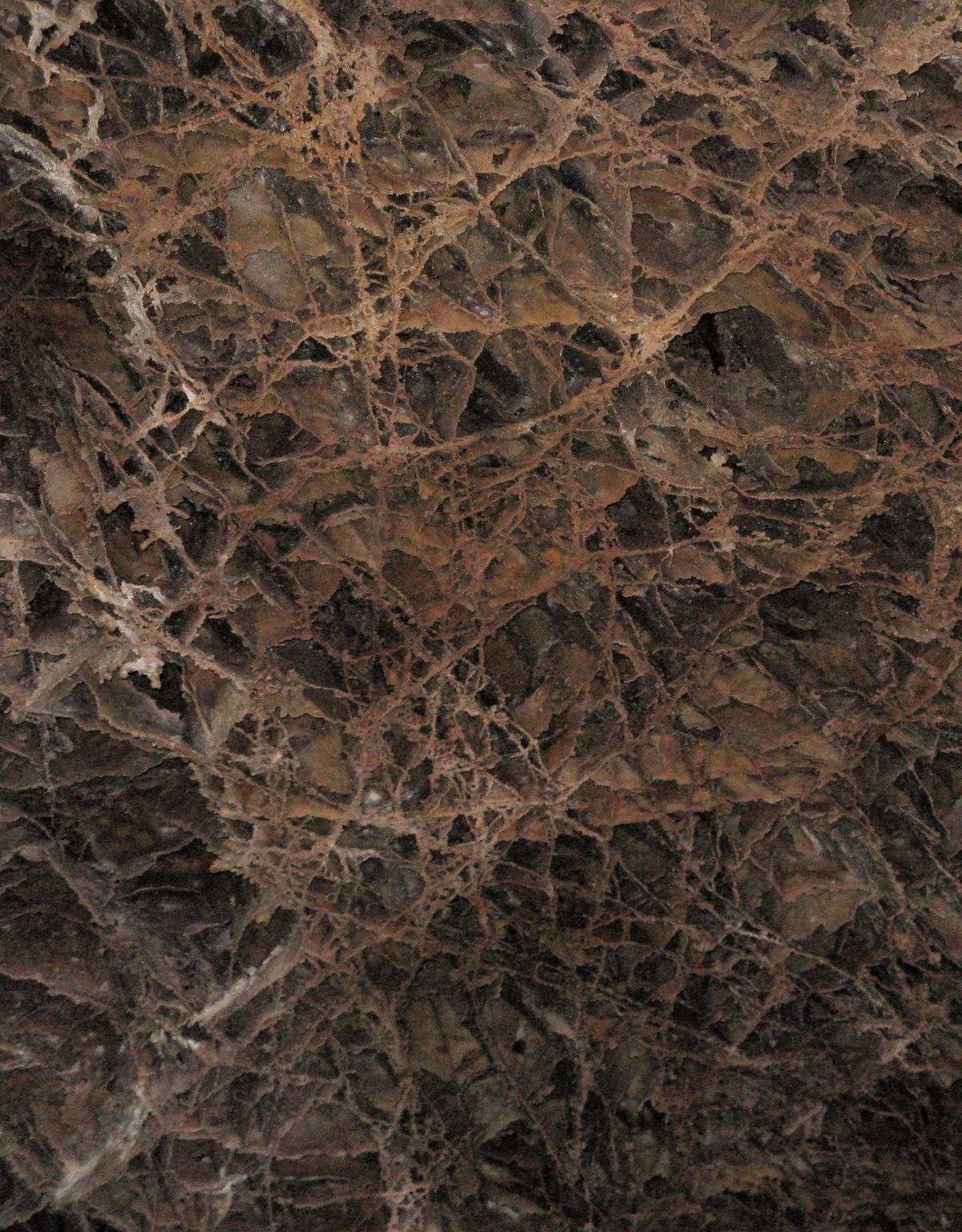 Boxwork: Wind Cave's Honeycomb Signature, Wind Cave National Park