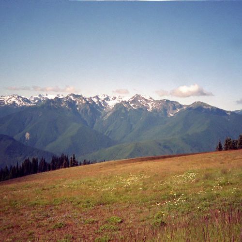 Viewpoint