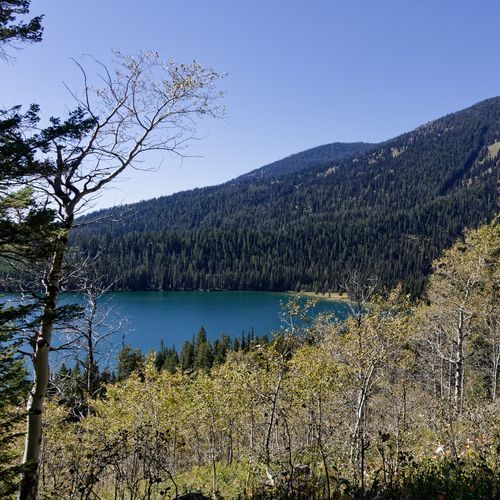 Viewpoint