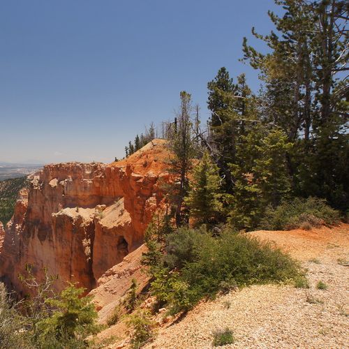Viewpoint