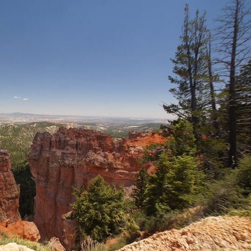 Viewpoint