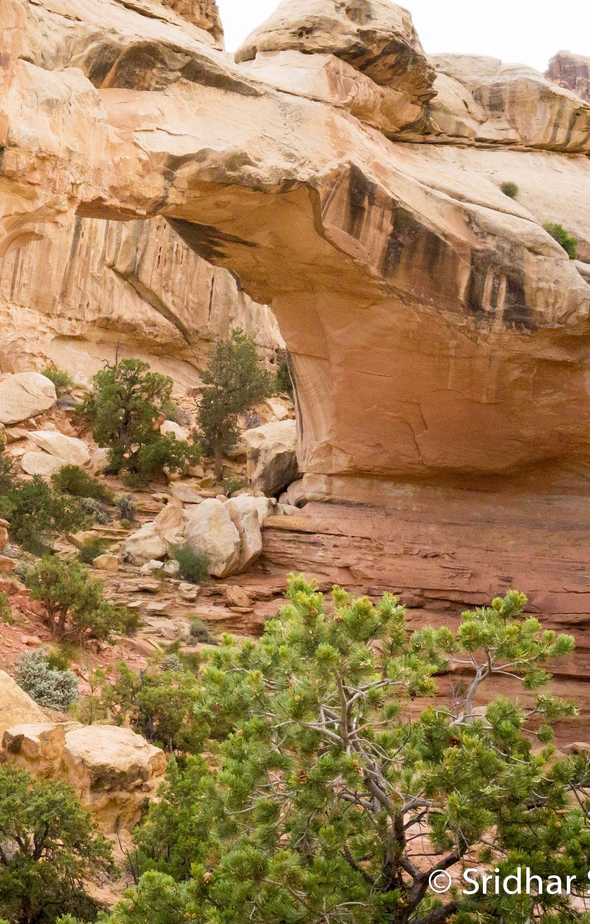 Hickman Bridge Trail, Capitol Reef National Park