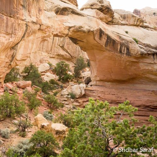 Hickman Bridge Trail