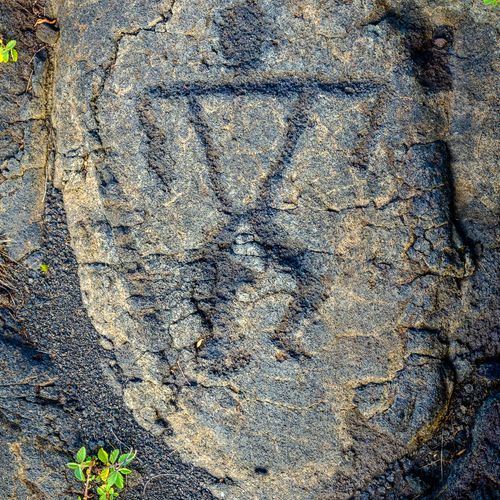 Puʻu Loa Petroglyphs
