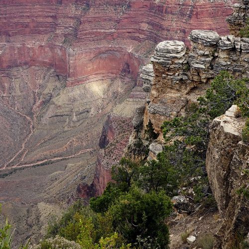 Pima point