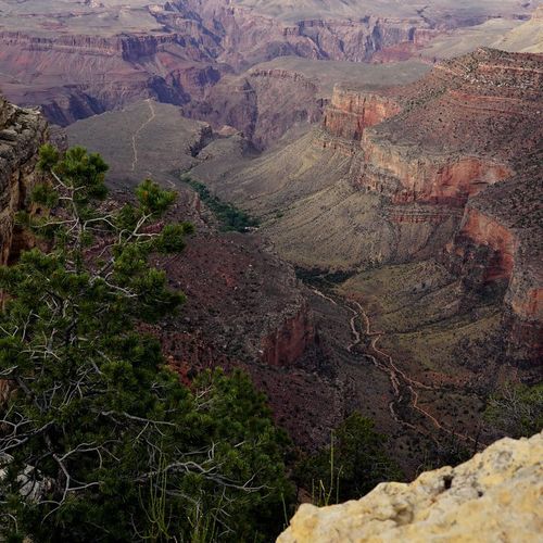 Trailview Overlook