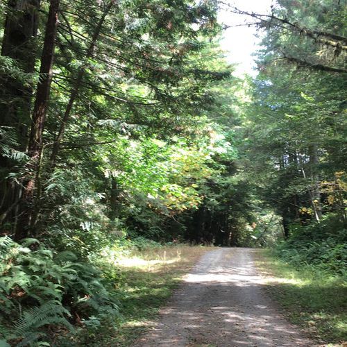 Davison Trail
