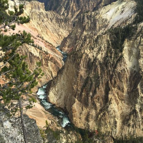 Grand View