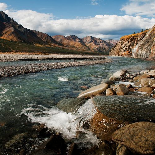 Toklat River