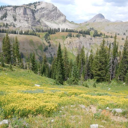 Granite Canyon Trail