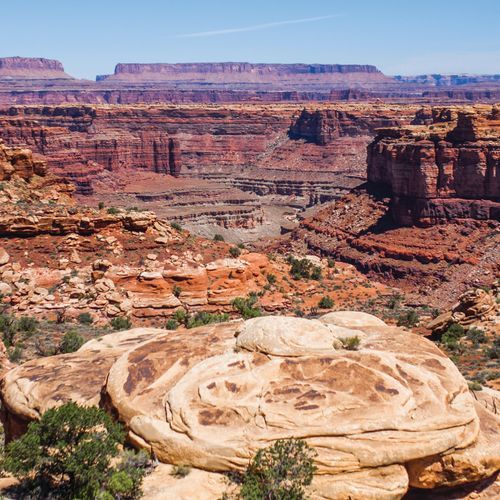 Slickrock Trail