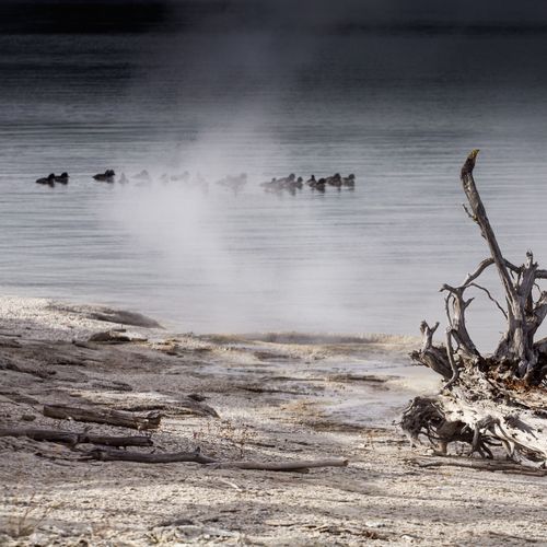West Thumb Geyser Basin