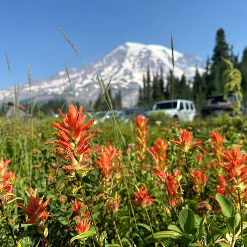 Nisqually Vista