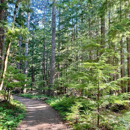 Six Ridge Primitive Trail