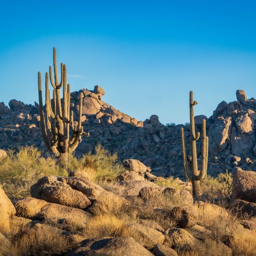 Tanque Verde Ridge Trail