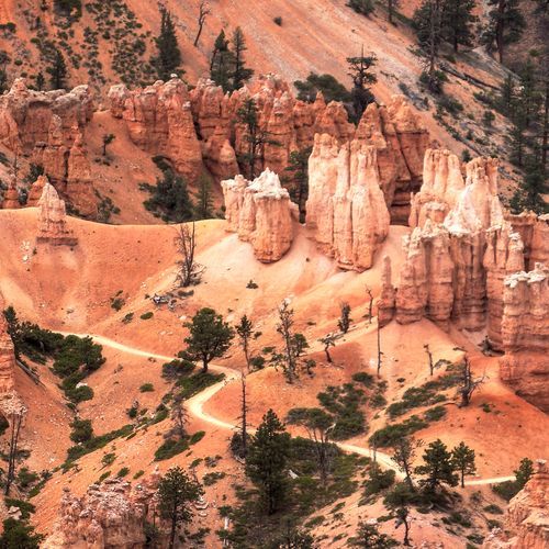 Citadel Climber's Access Trail