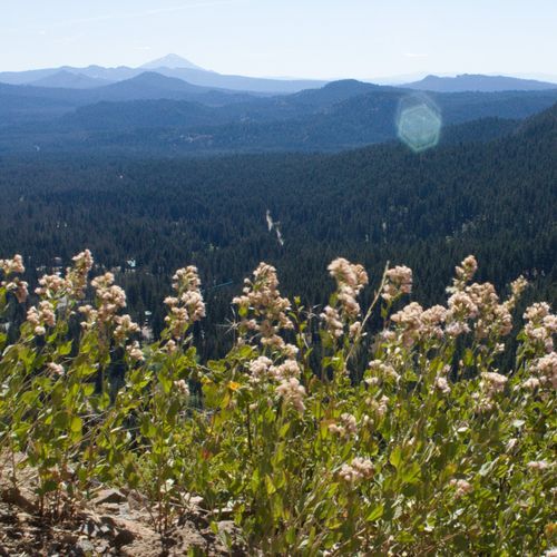 Union Peak Trail