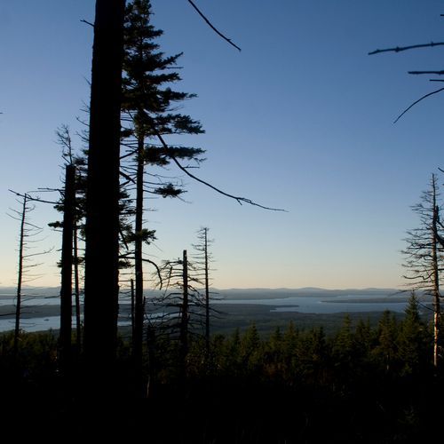 Viewpoint