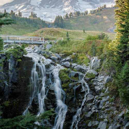 Myrtle Falls Trail
