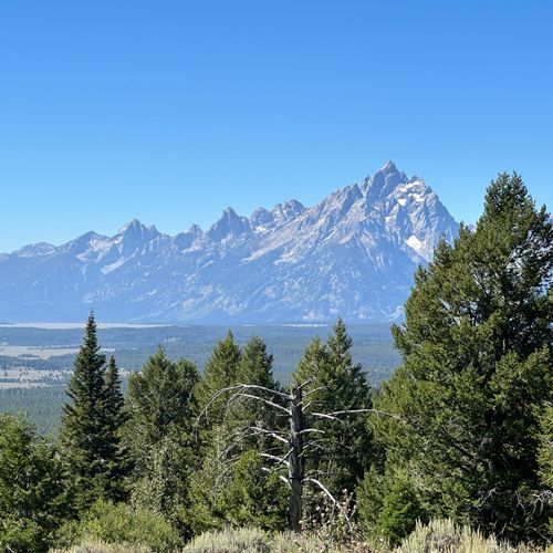 Emma Matilda Overlook