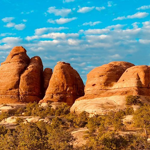 Elephant Hill