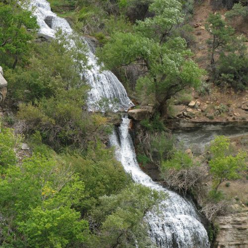 Bridge Creek Trail