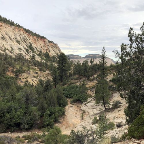 Jolley Gulch