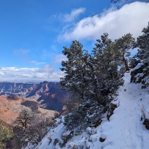 Viewpoint