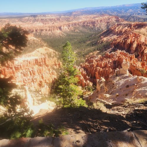 Bryce Point