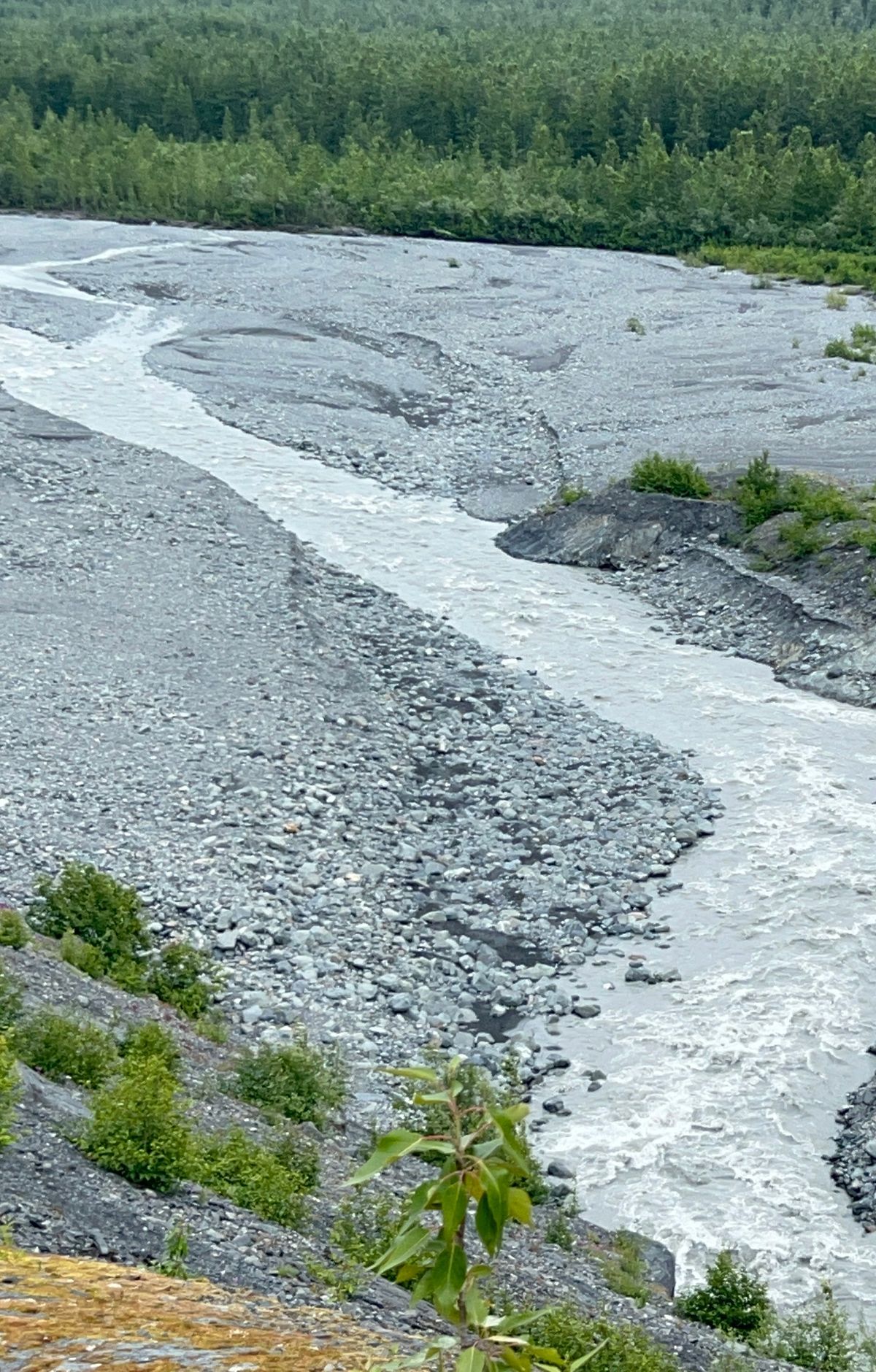 Harding Icefield: Source of Nearly 40 Glaciers, Kenai Fjords National Park