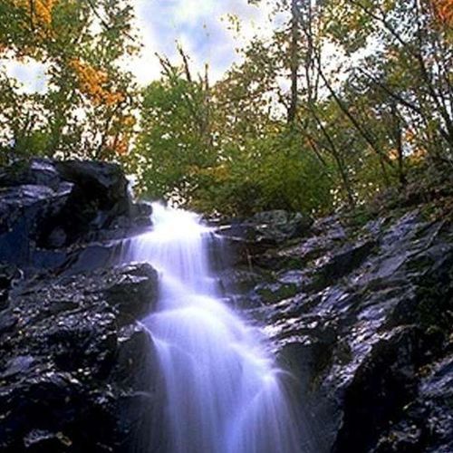 Jones Run Trail