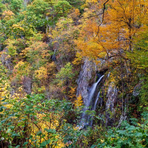 Thompson Hollow Trail