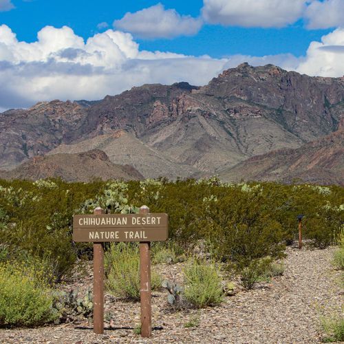 Chihuahuan Desert Nature Trail