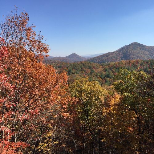 Viewpoint