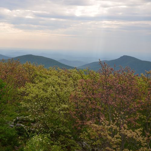 Viewpoint