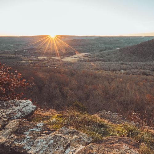 Jasper Forest Overlook