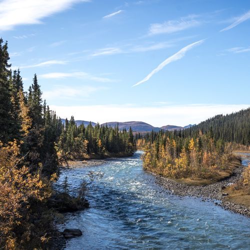 McKinley River
