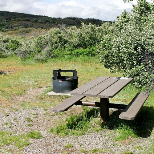 South Rim Campground