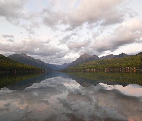 Bowman Lake