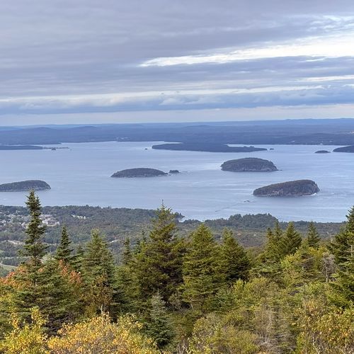 Viewpoint
