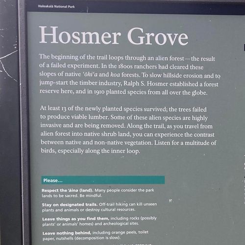 Hosmer Grove Loop Trail