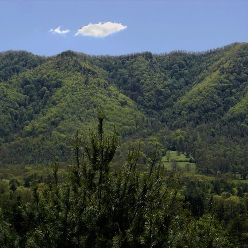 Rich Mountain # 2